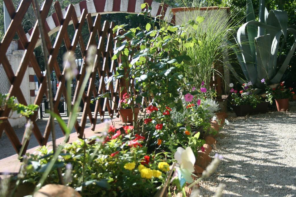 Apartments Nea Rovinj Exterior photo